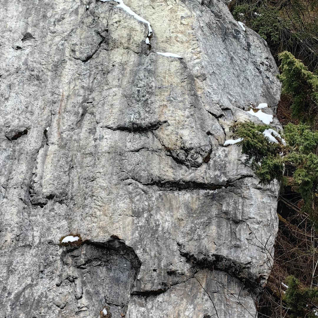 老范的改变计划