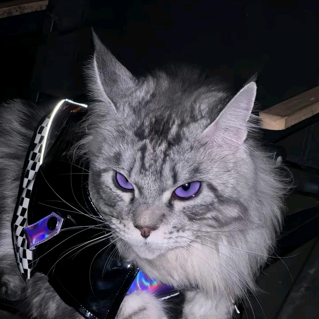 AAA大润发杀鱼师傅