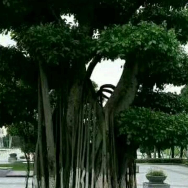 快乐人生