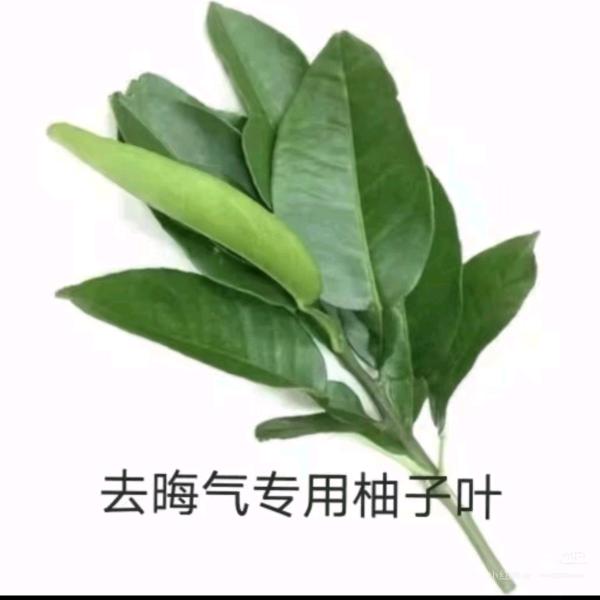 单良的饭   ~~~¹⁰³