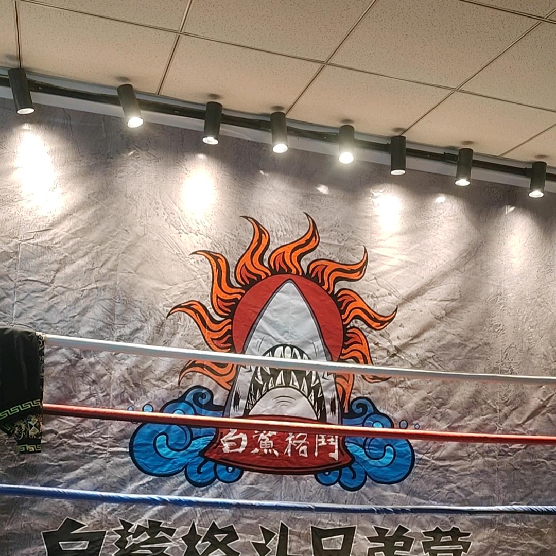 白鲨国际格斗联盟官方号