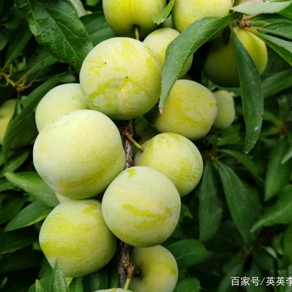 人心难测