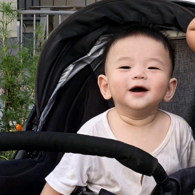 毛毛
