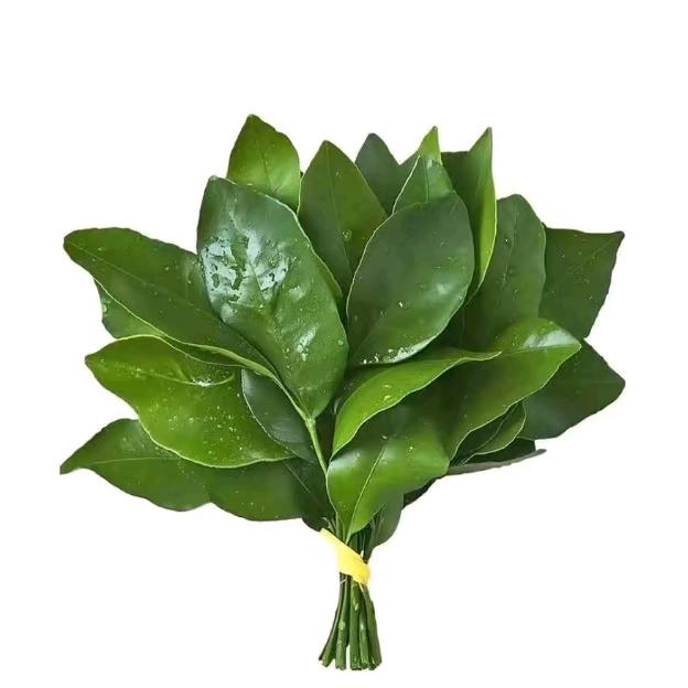 棒棒棒棒