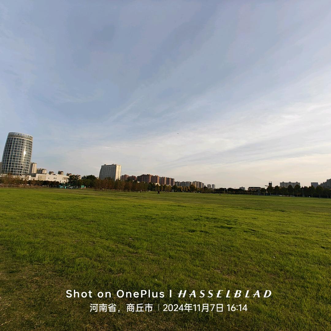 永城修手机的小姐姐