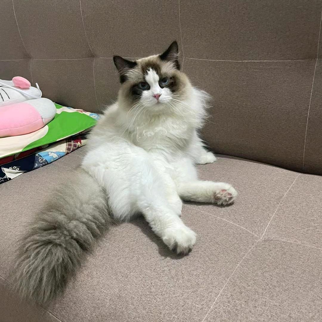 高杉