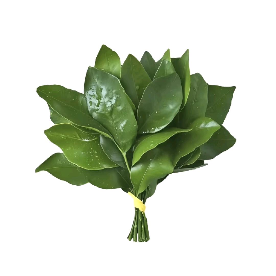 小壶待续……