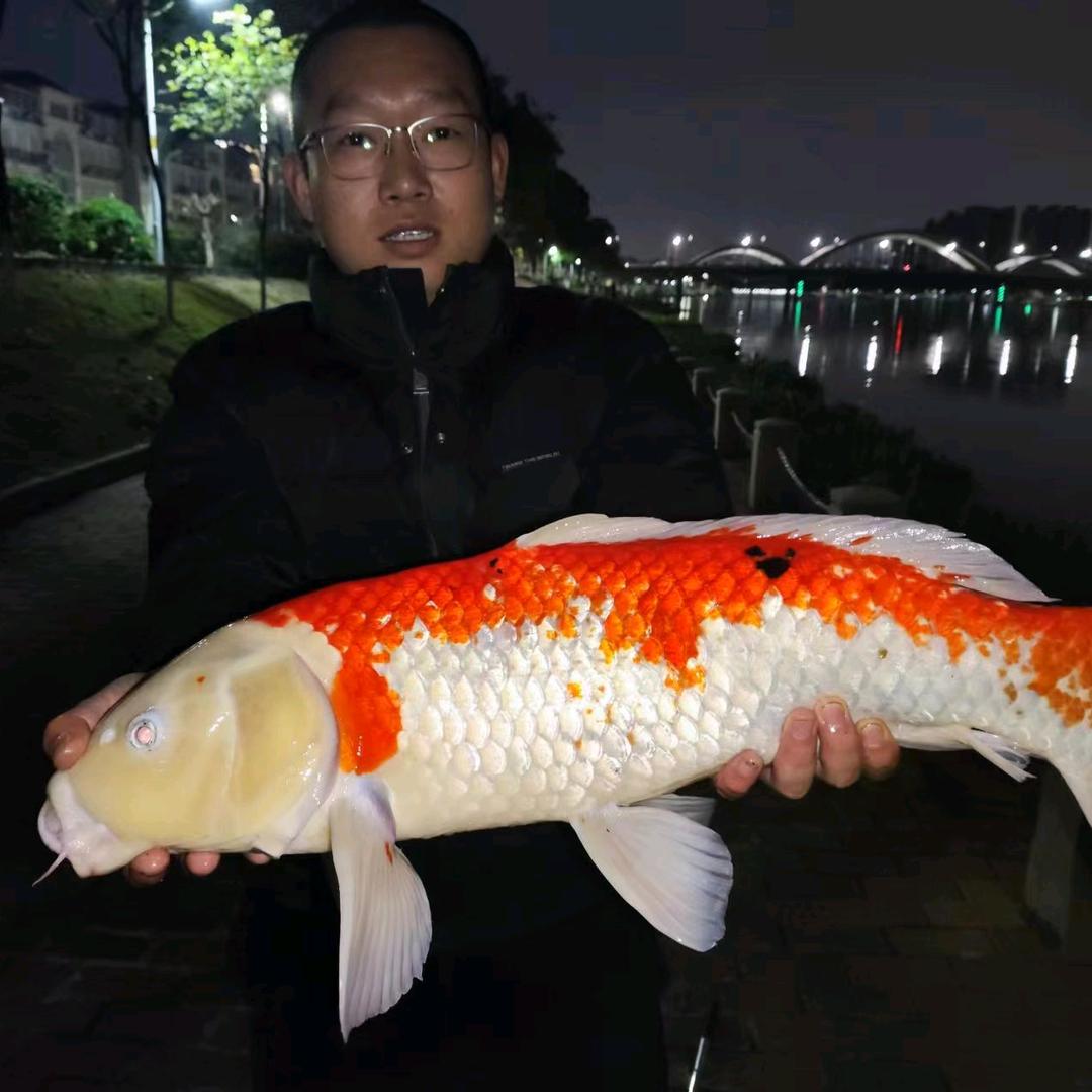 游钩乌江﹌野钩