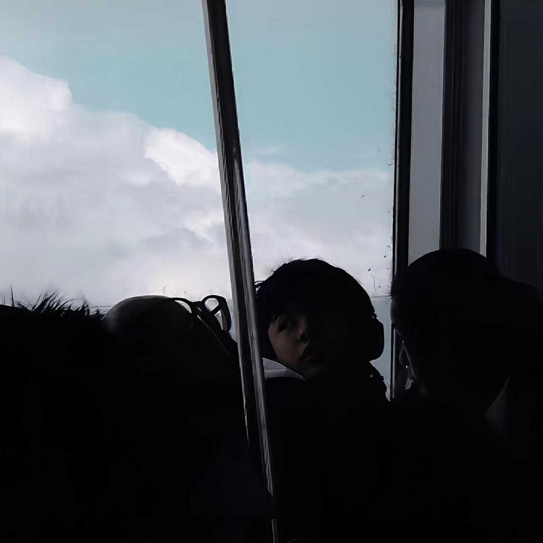 年轮又年轮