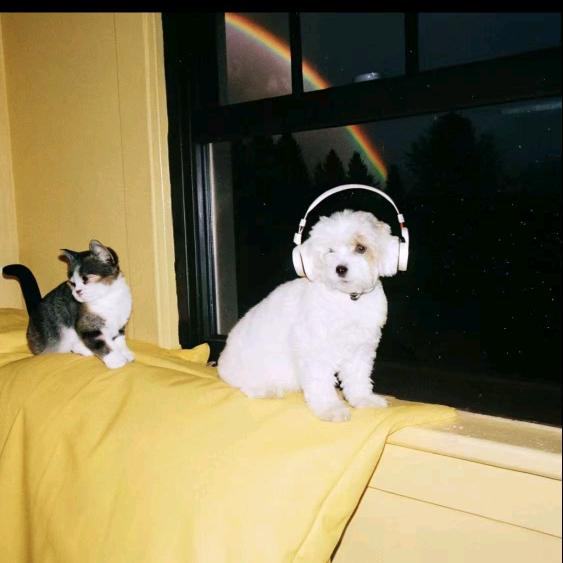 宇宙超级霹雳无敌吊炸天且为数不多的帅哥