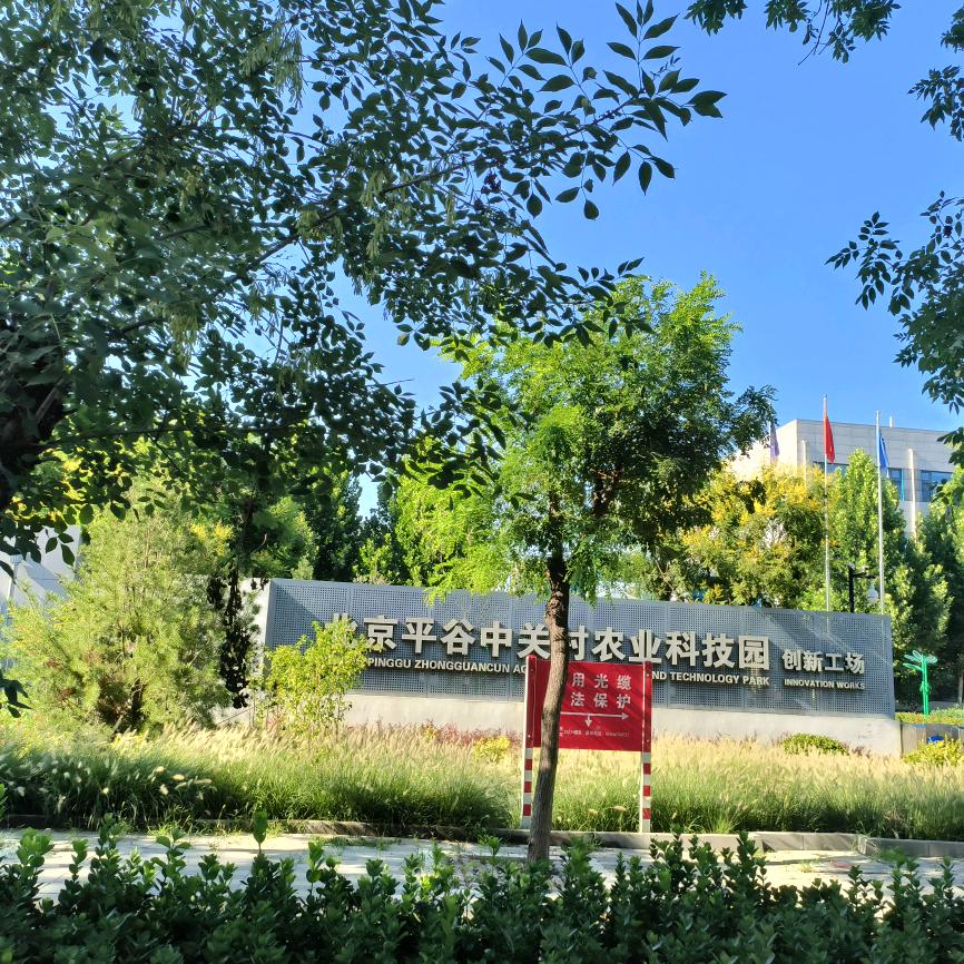 智慧猪业文化传媒