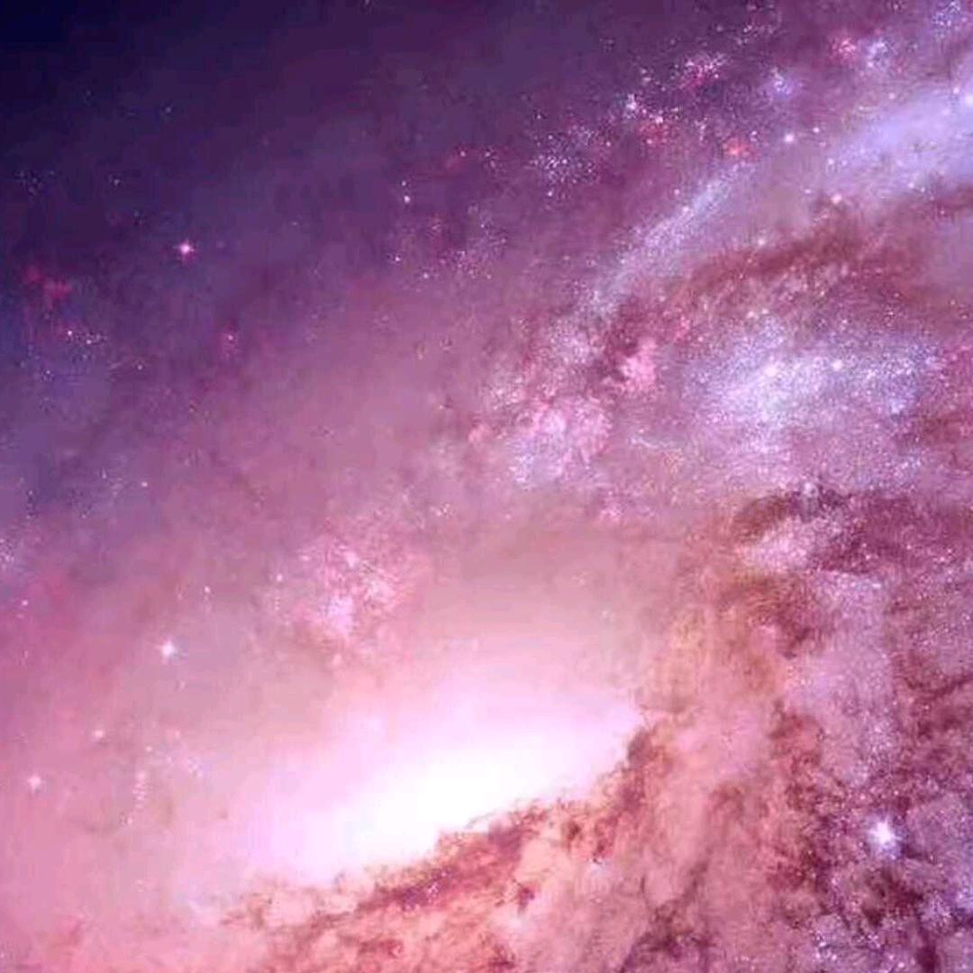 热心市民张女士