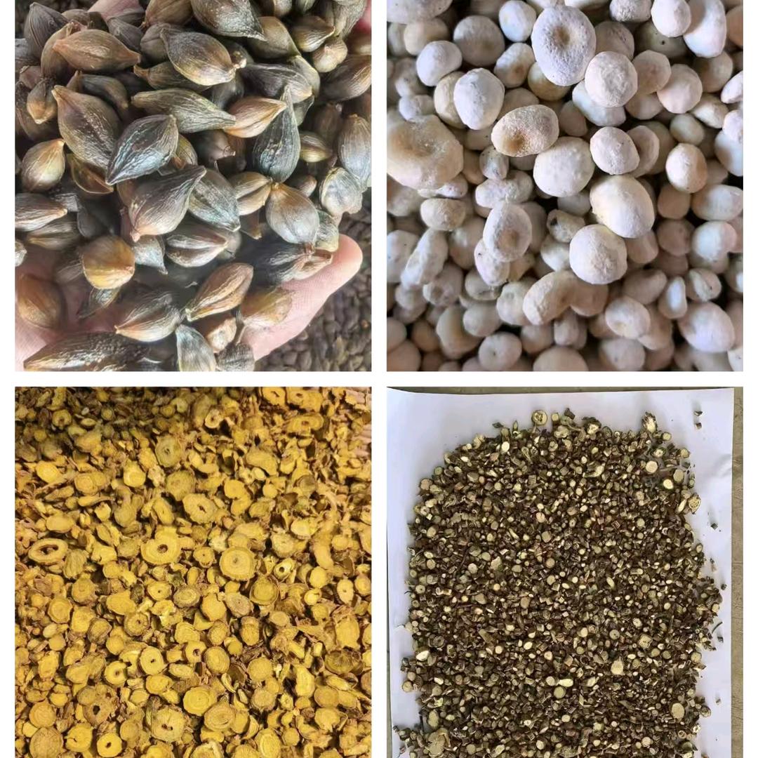 山西运城腾瑞农业开发有限公司