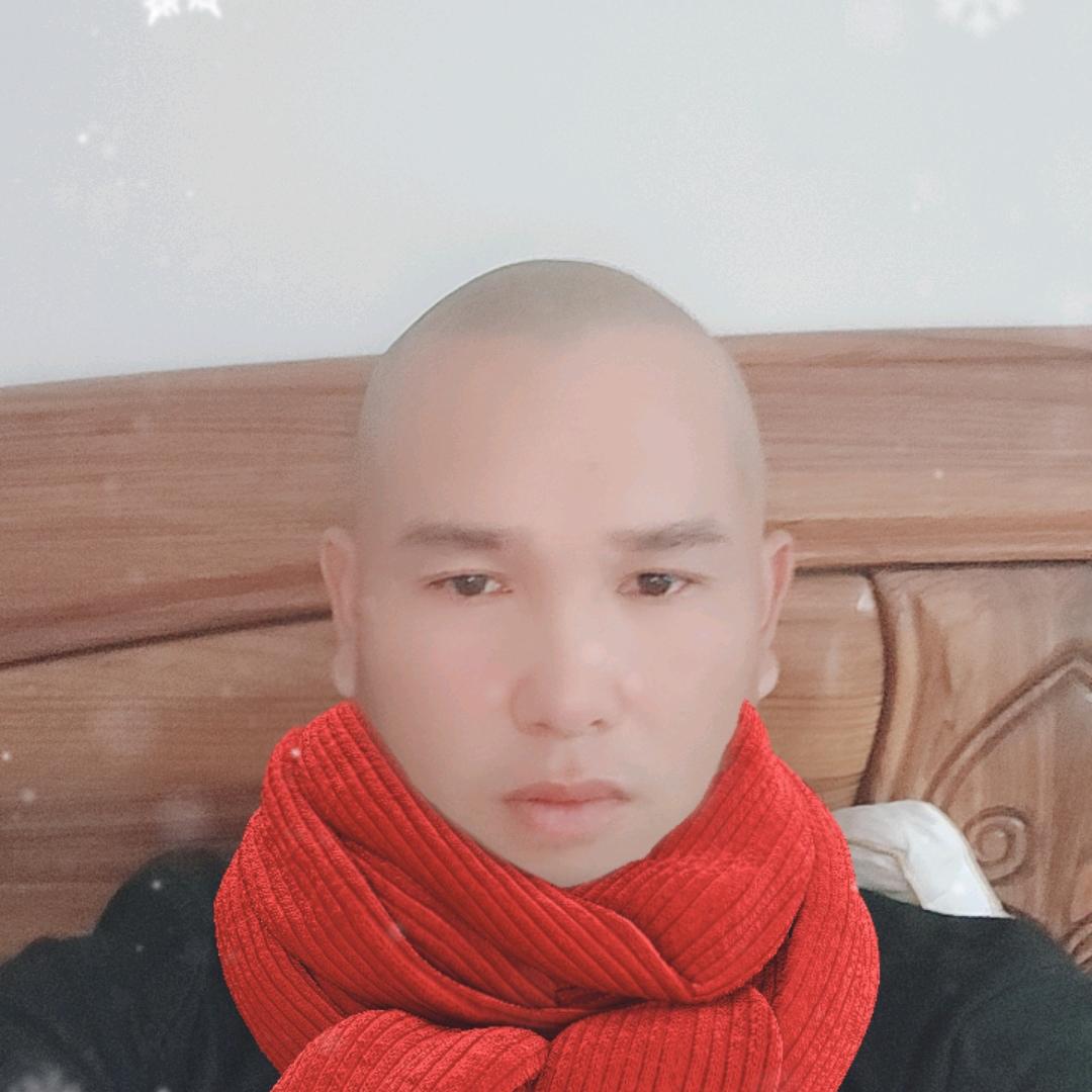 上山虎大展宏图