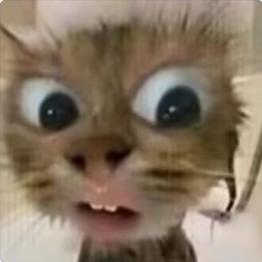 菠萝吹雪⋆⭒˚｡⋆⸜🌙⸝‍🌊