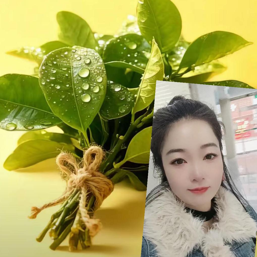 ✨💕ꦿ᭄黄家菇凉✨