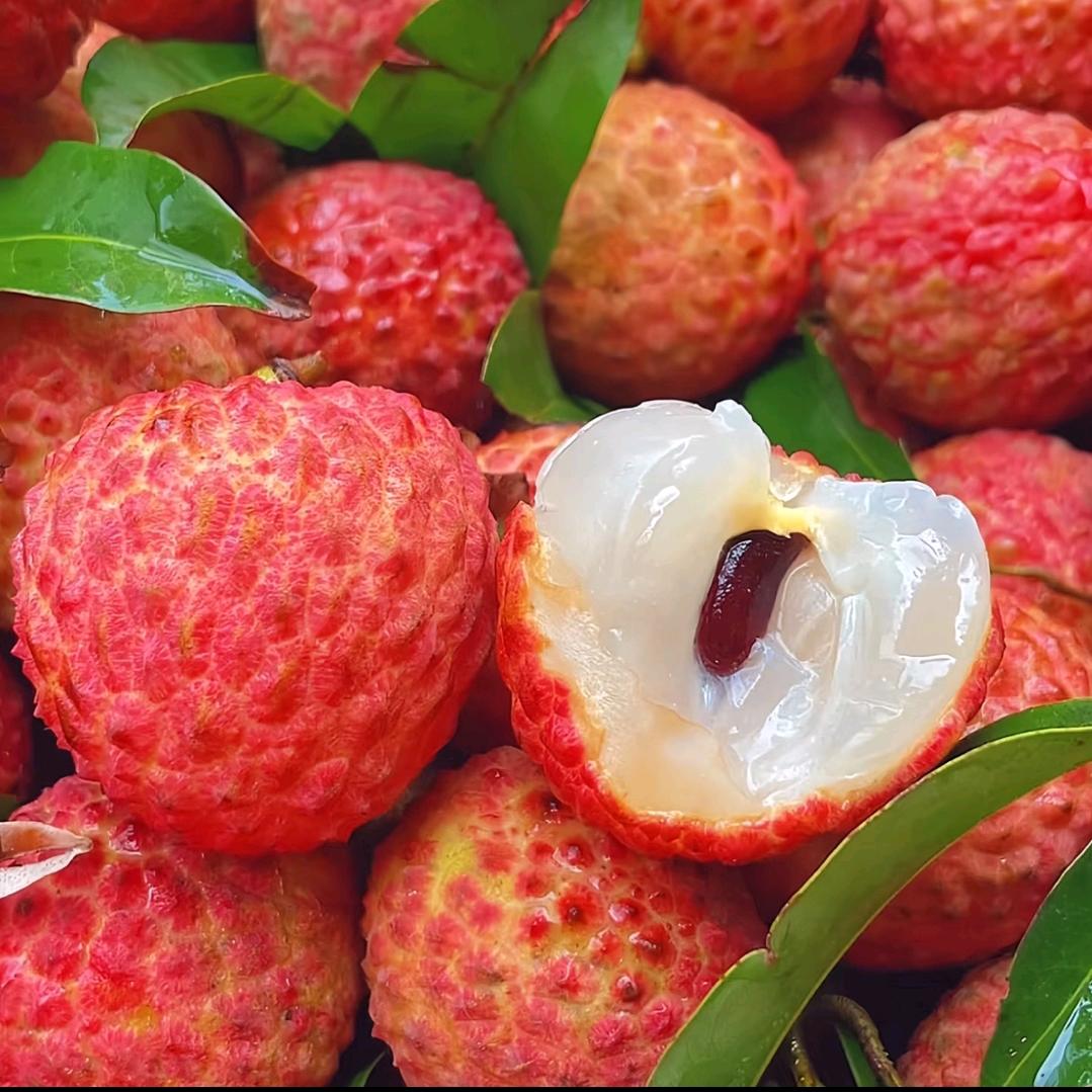 农村三姐