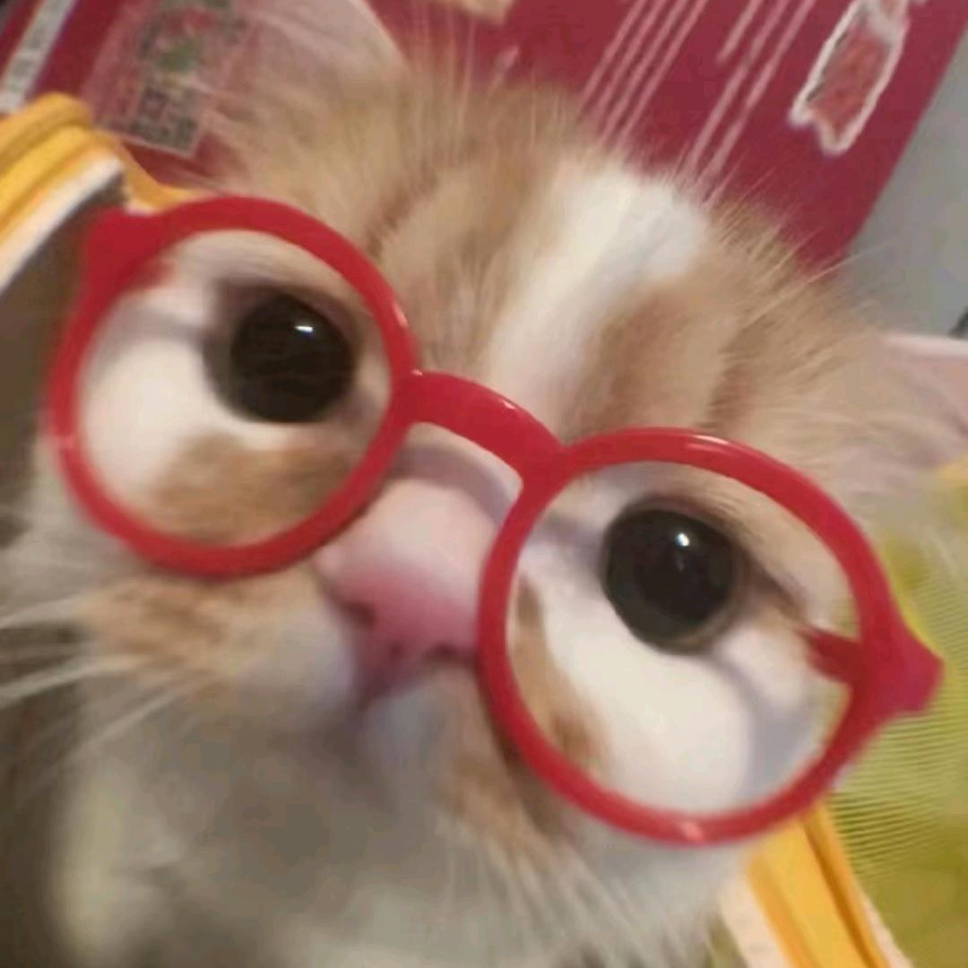 拿铁冰美式