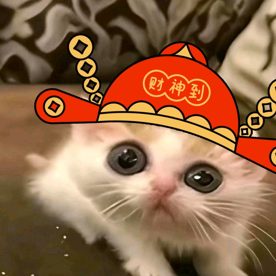 谁偷了我的身份证