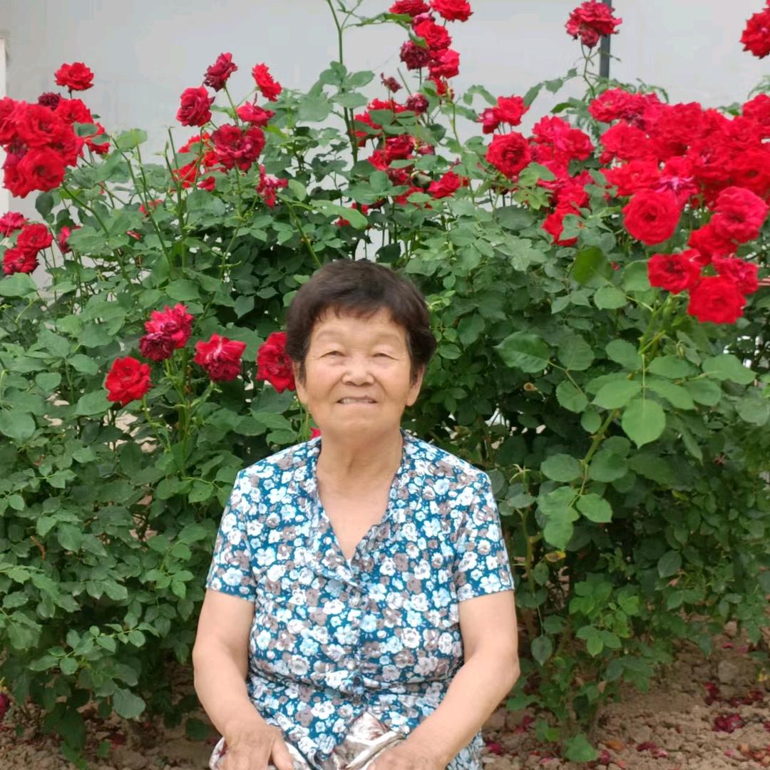 80岁老奶奶制毛衣