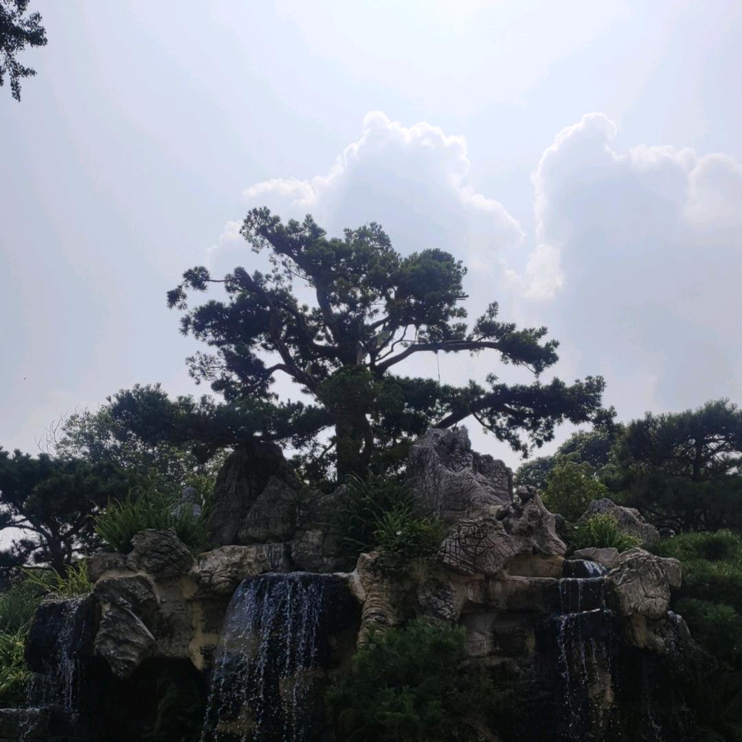 A鐘