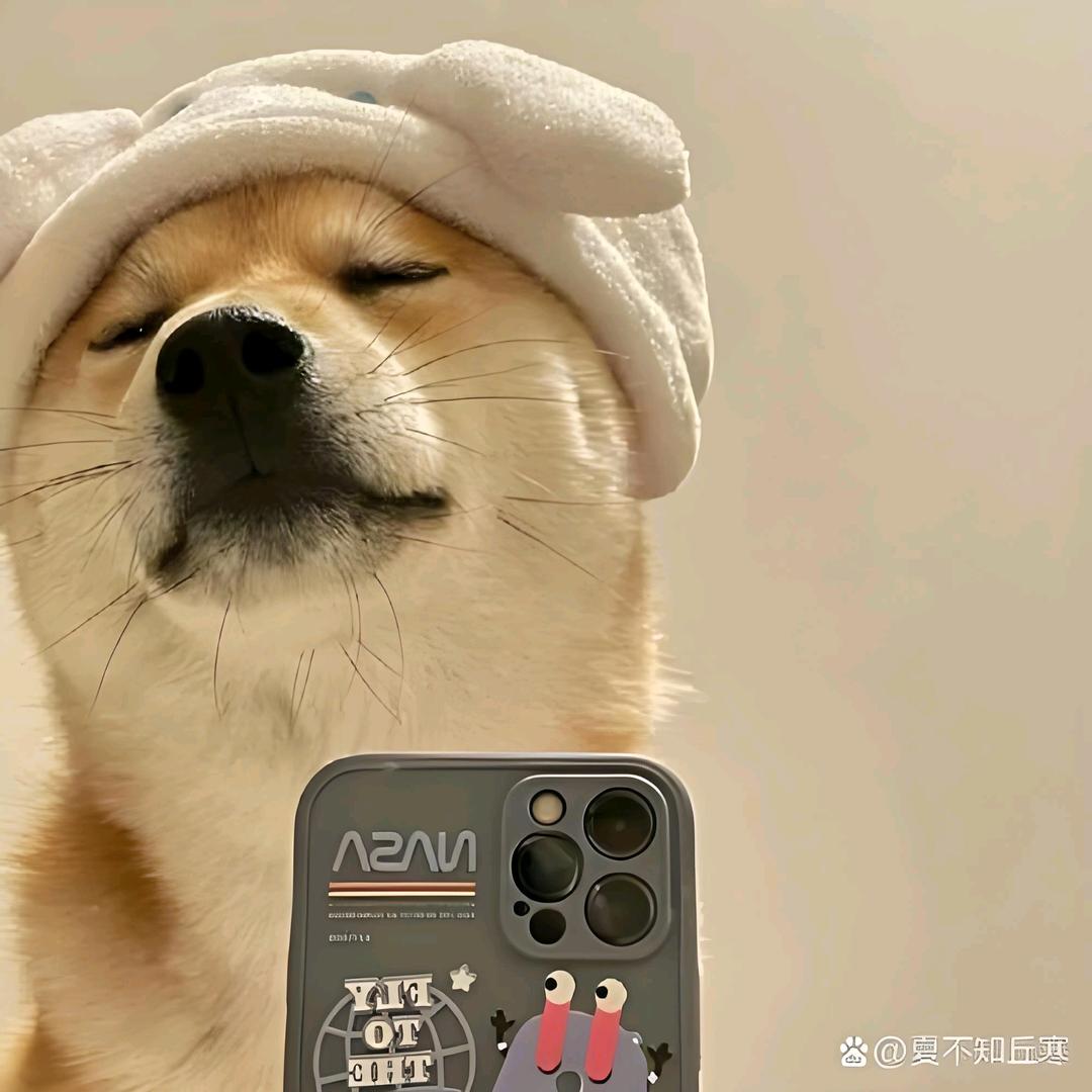 某不知名张姓网友