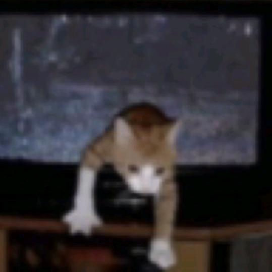 缓释胶囊