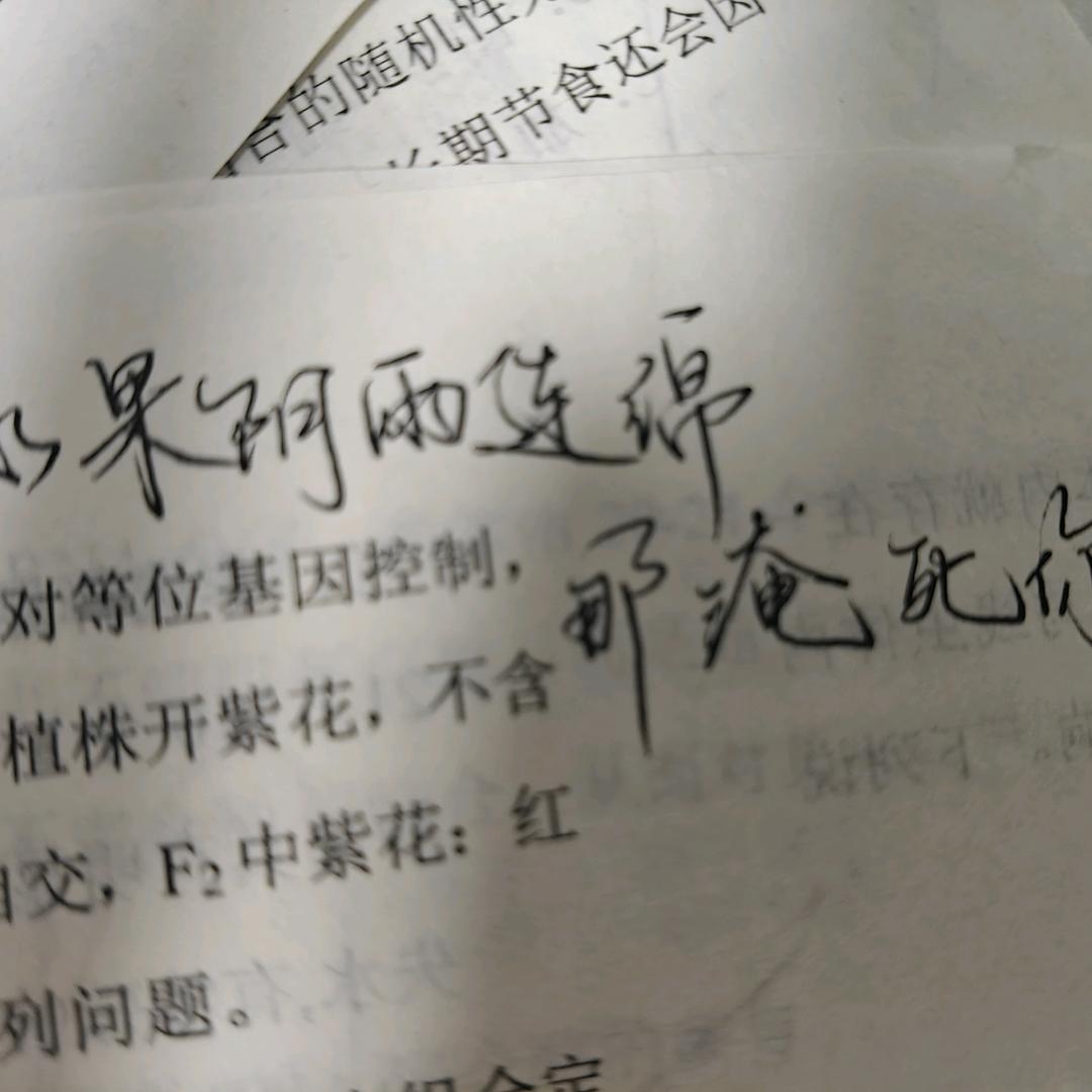 吃冰冰的冰