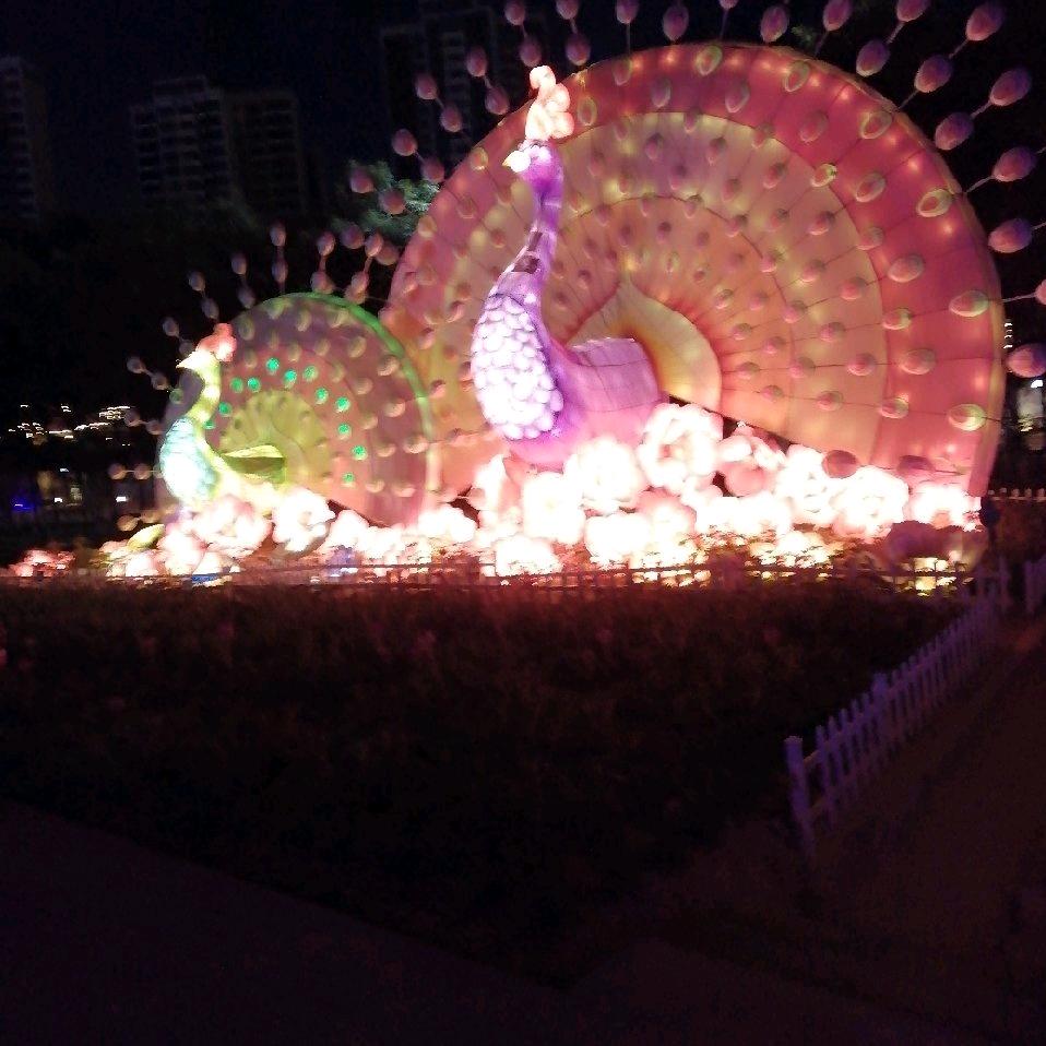 @霞谷