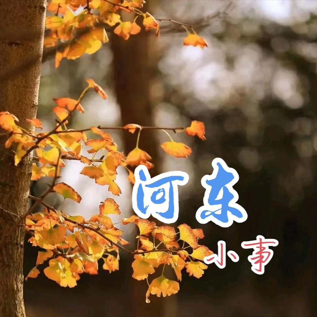 河D小事