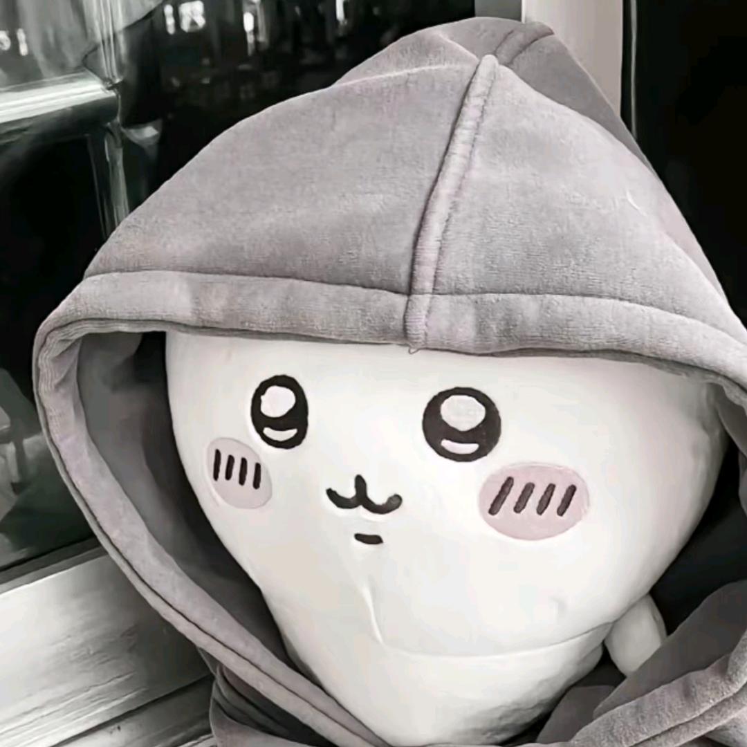 湖北第一魔丸