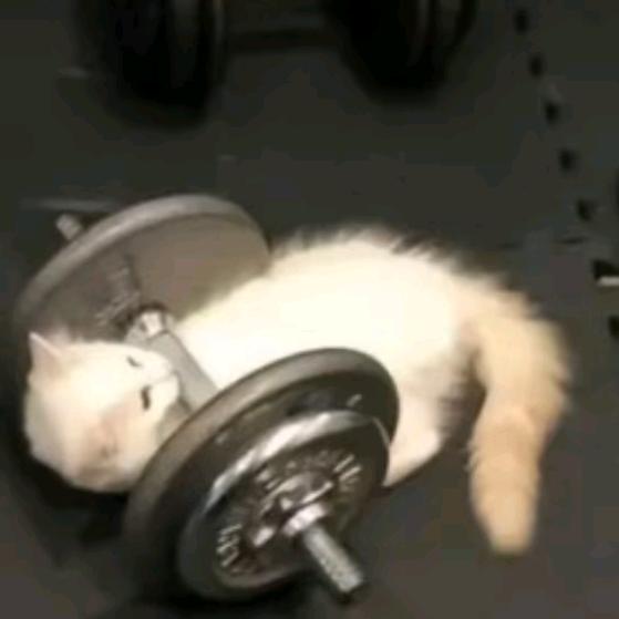 过期秋刀鱼罐头