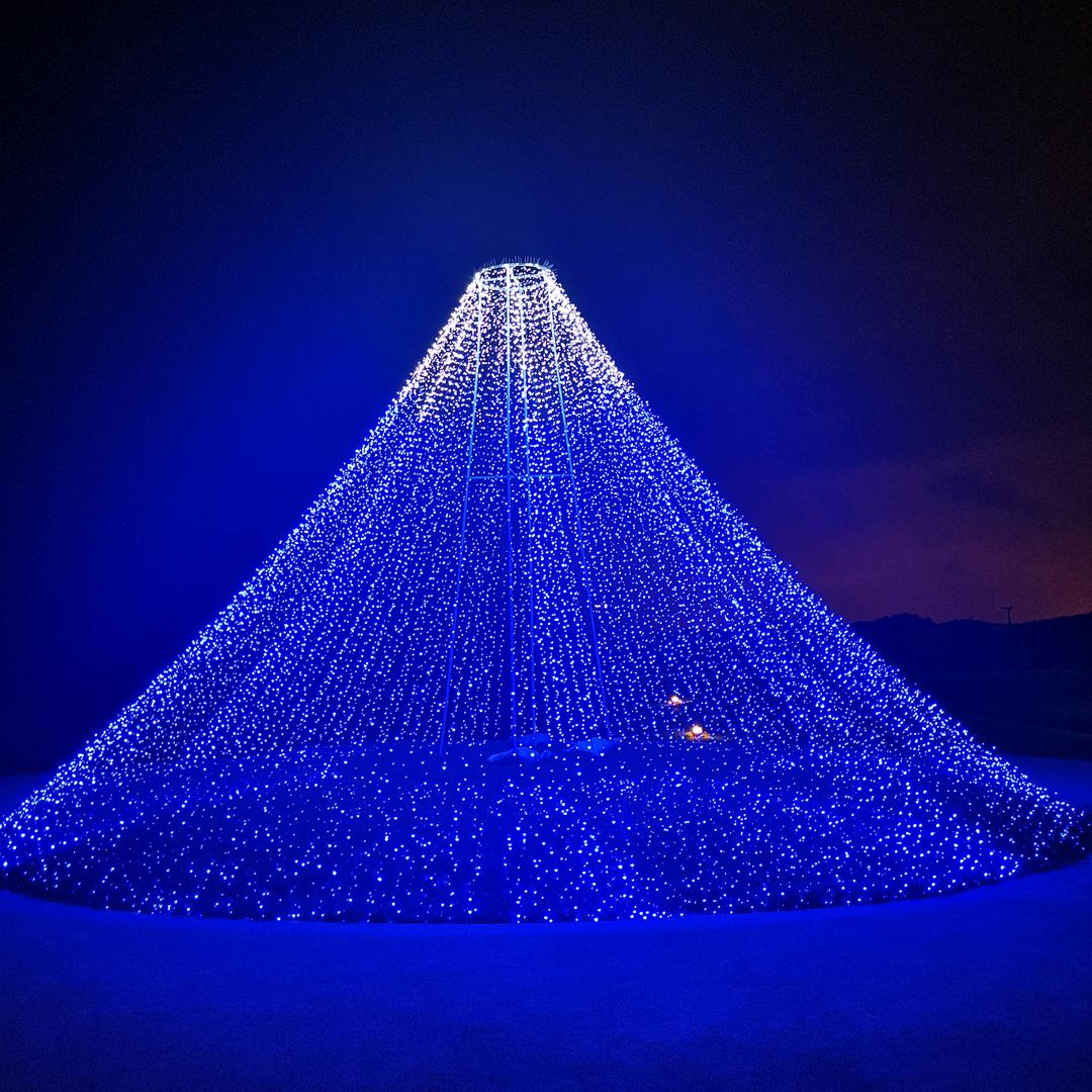 ⚡️張💫无忌✨