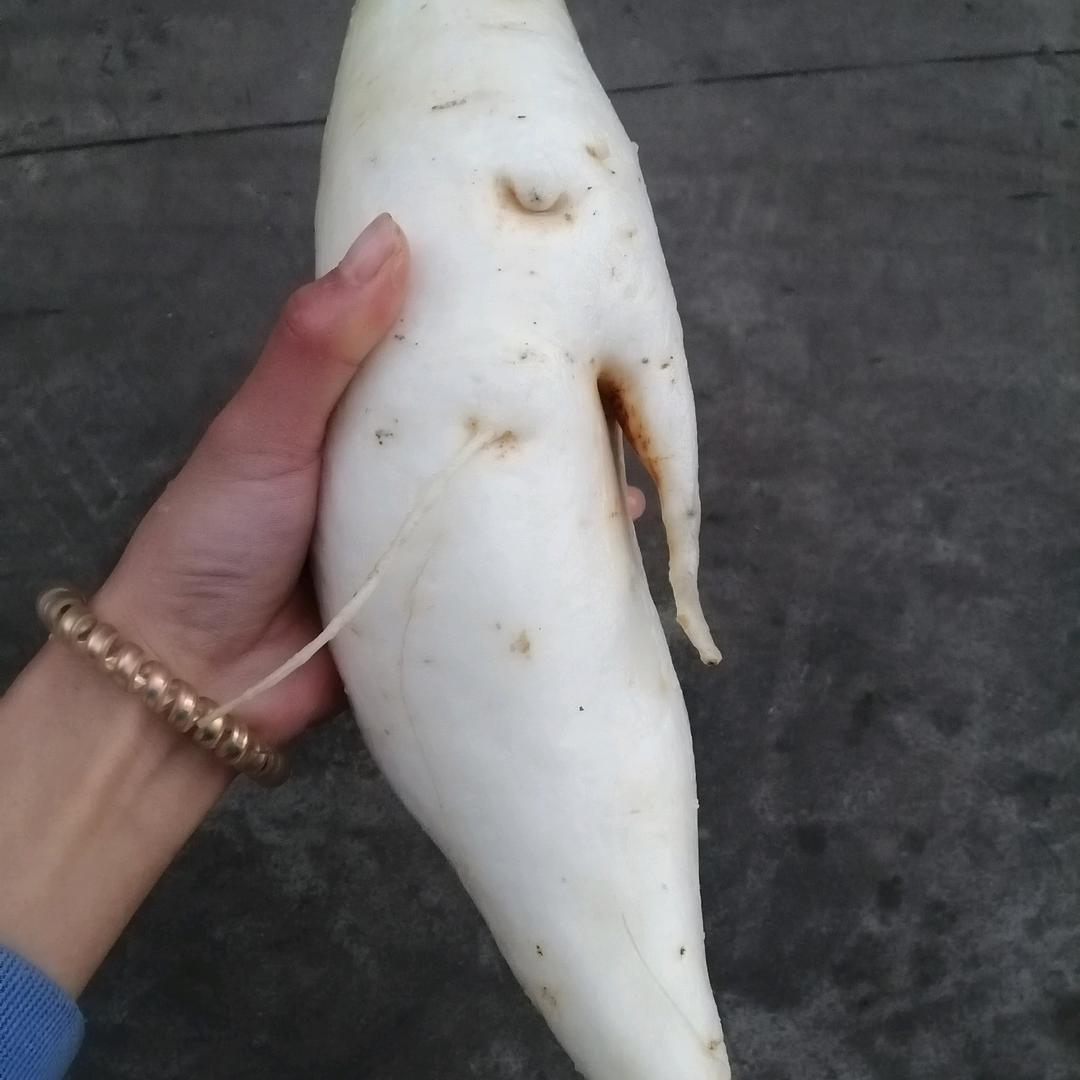 好好爱自己