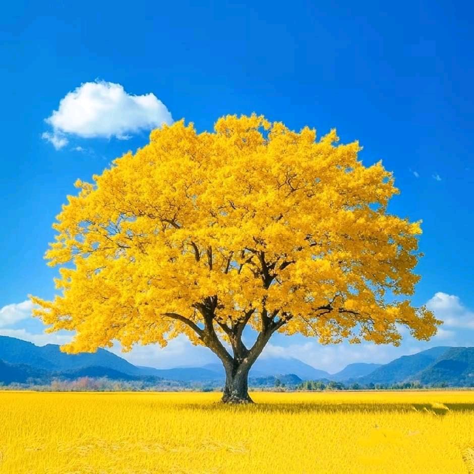 金牌月嫂，母乳指导