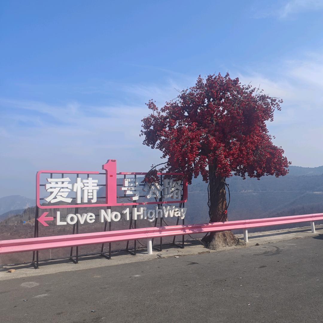 十七岁