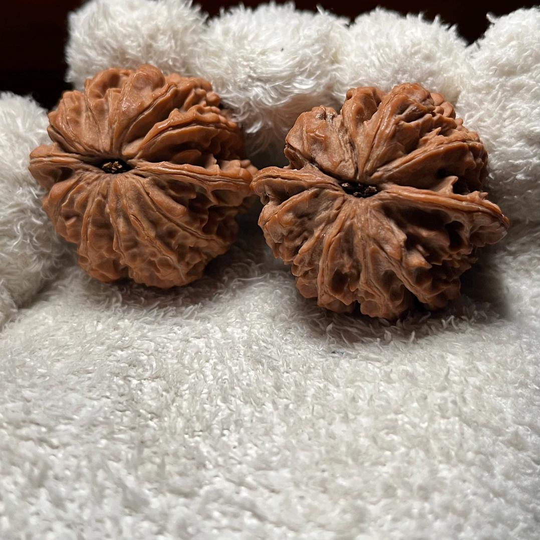 闽南小伙爱盘核