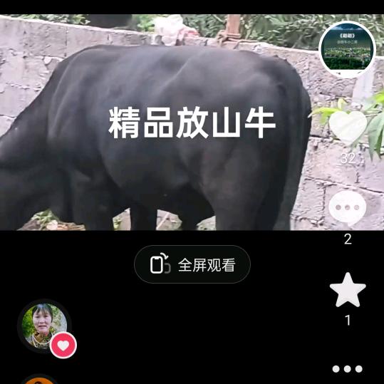 小二哥y