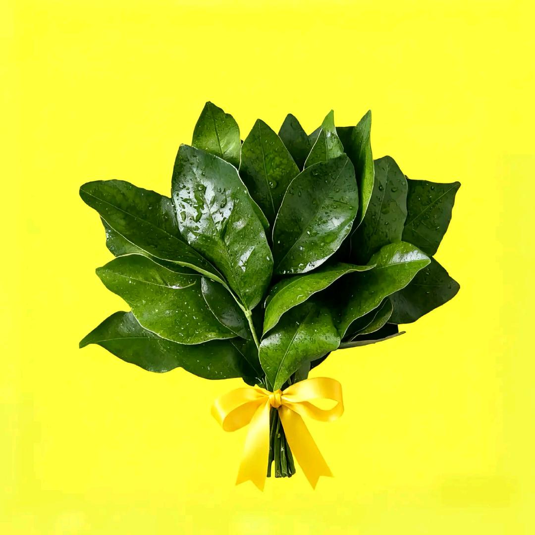 不养闲人 Continue