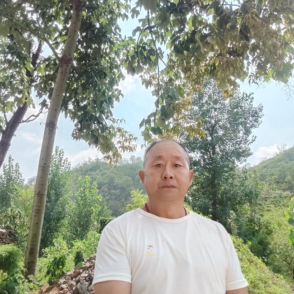 飞翔的雄鹰
