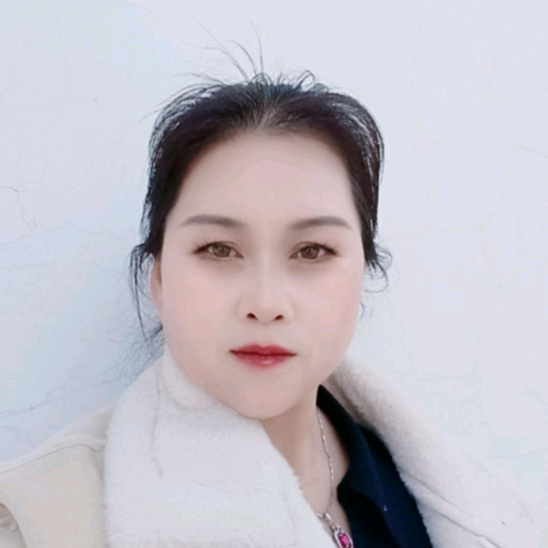河南燕姐