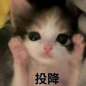 落叶