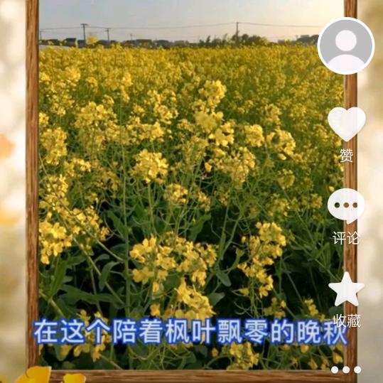 浙江人