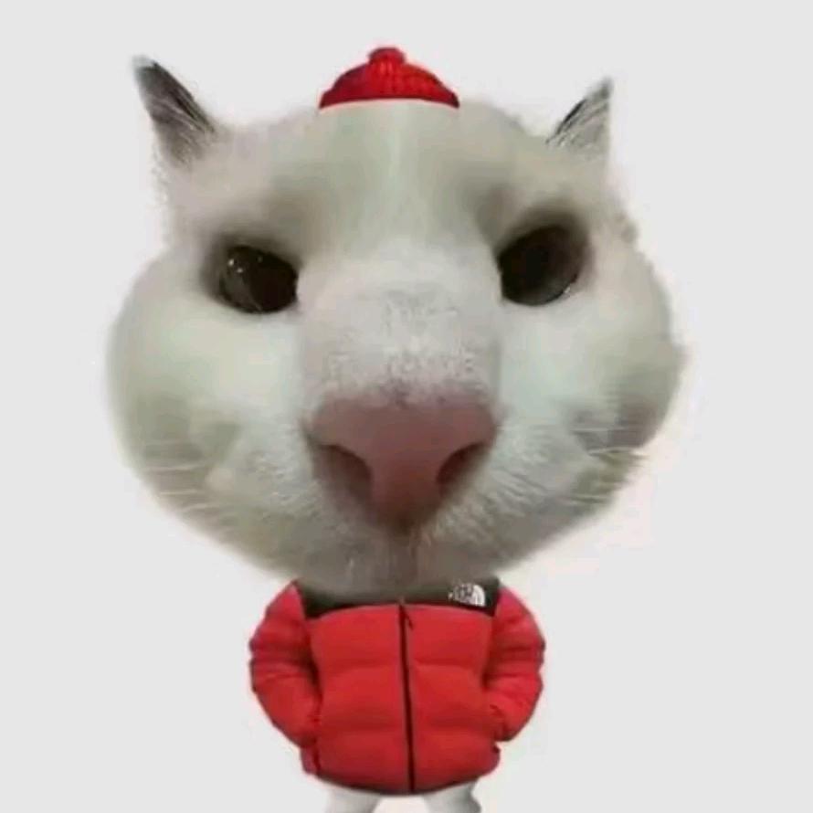 赵QQ`