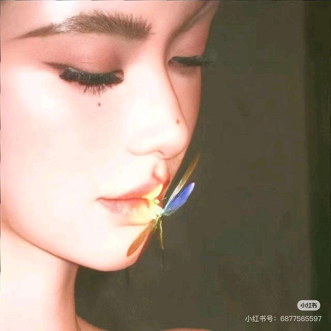 布丁