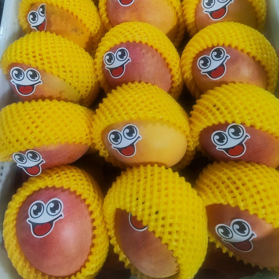 涛涛折扣店ξ( ✿＞◡❛)