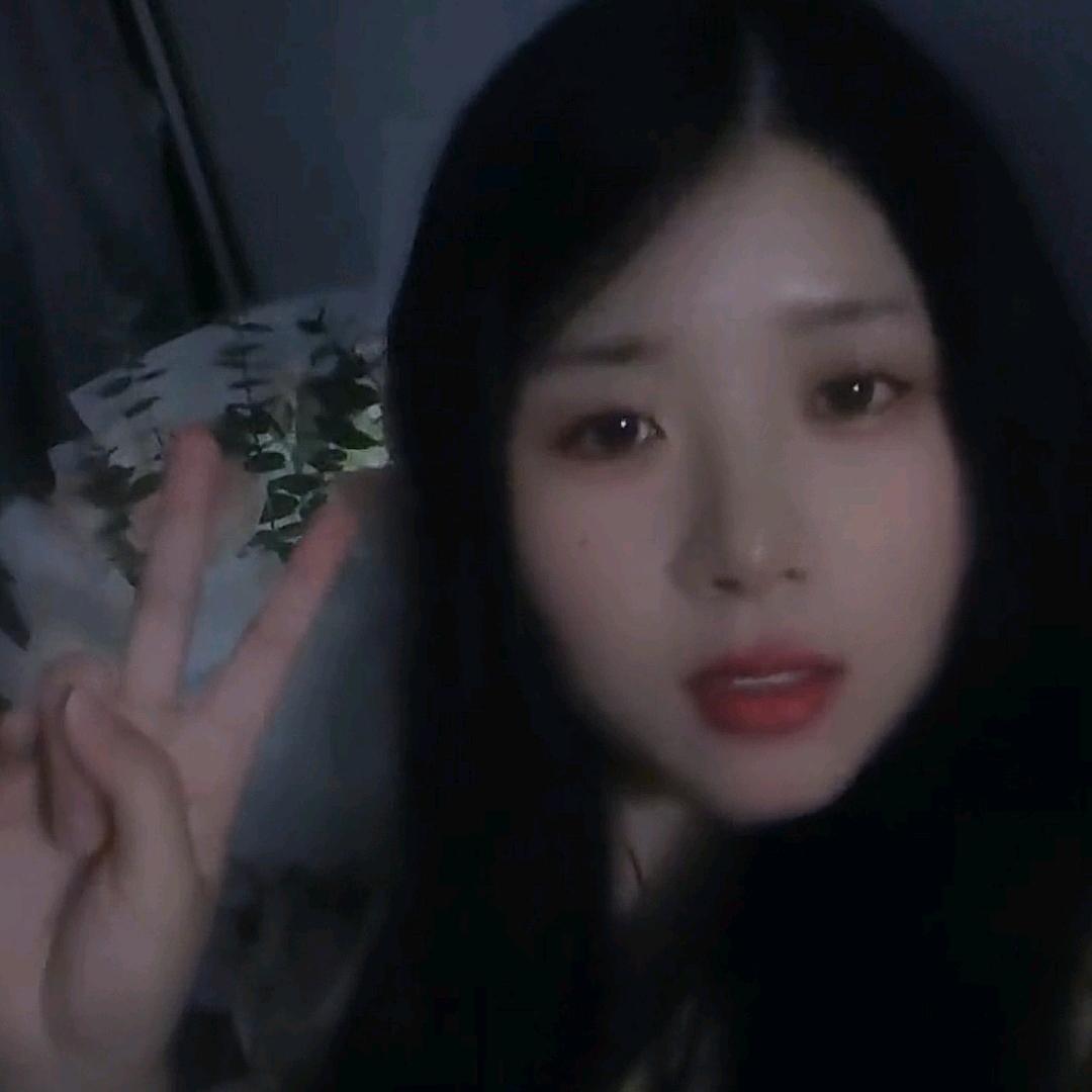 喵喵🍀