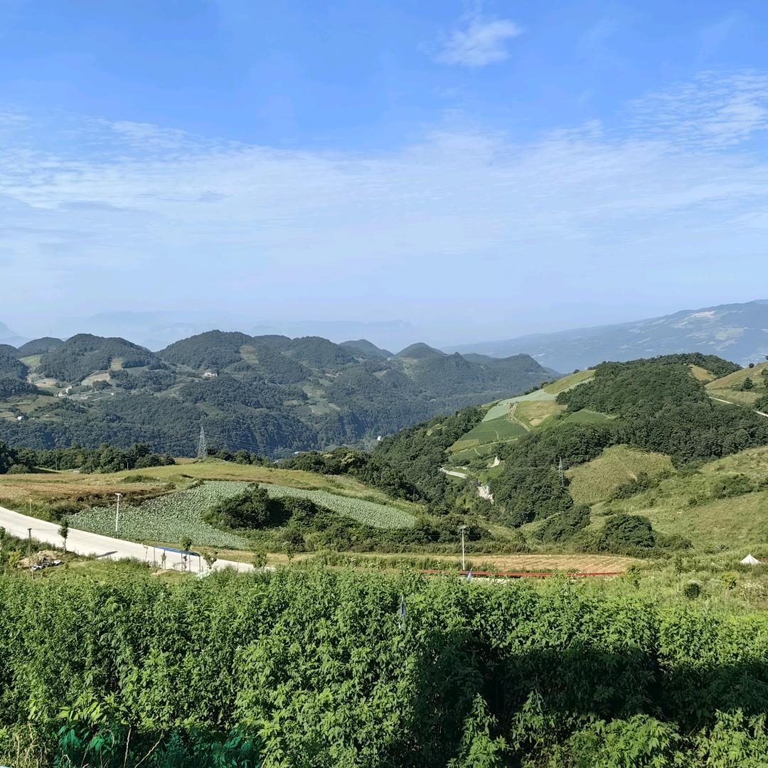可乐迷