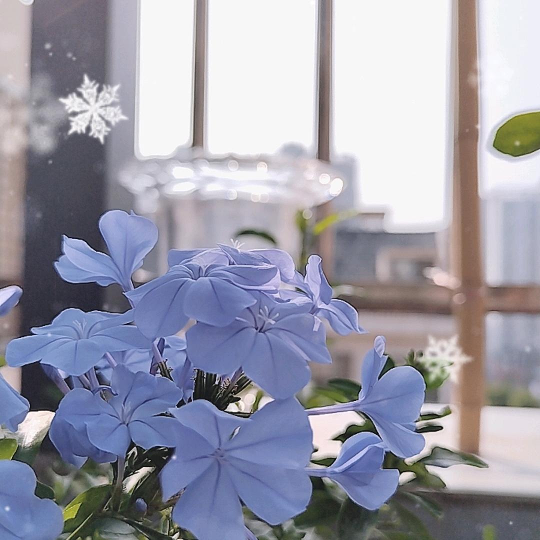 气韵茶功