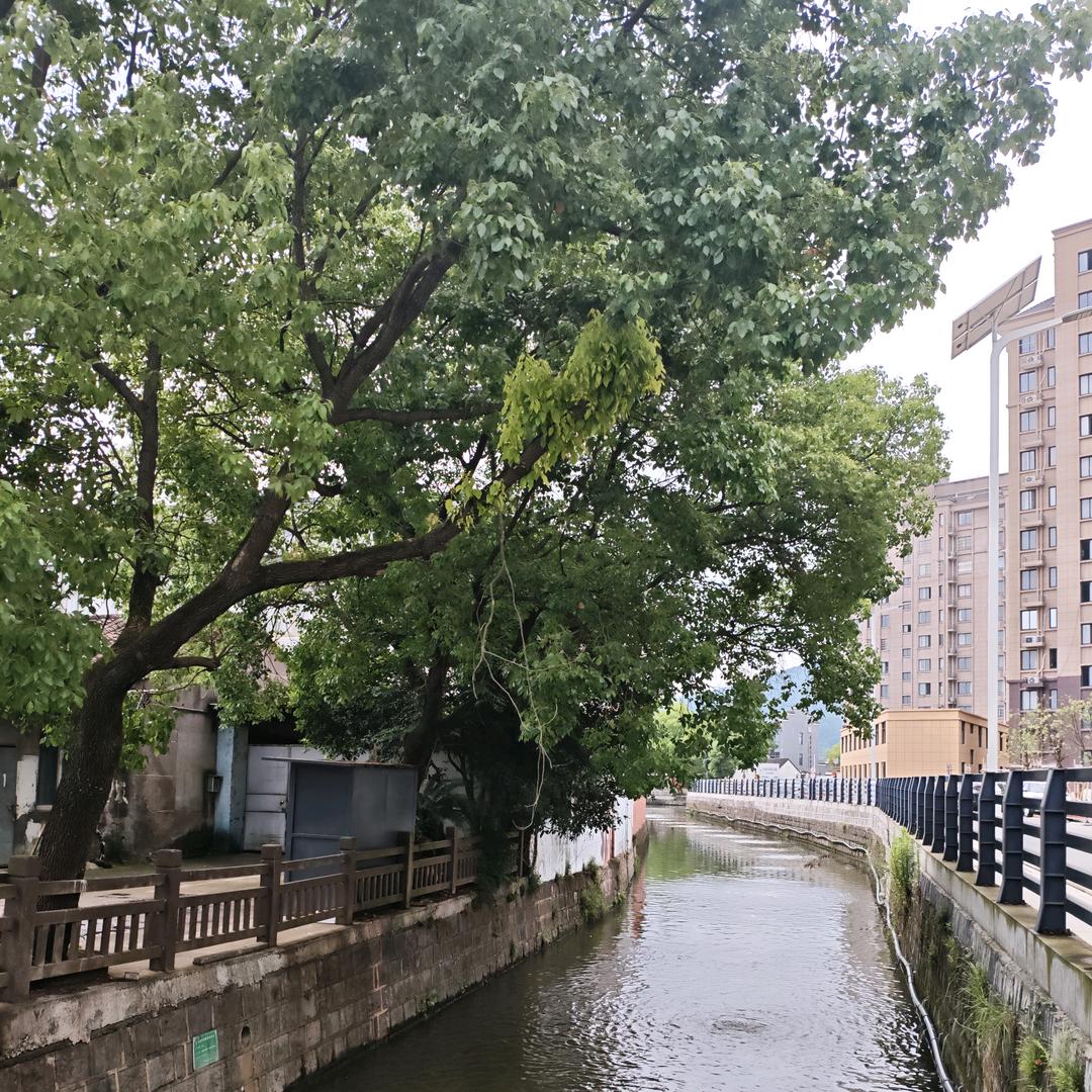 aa